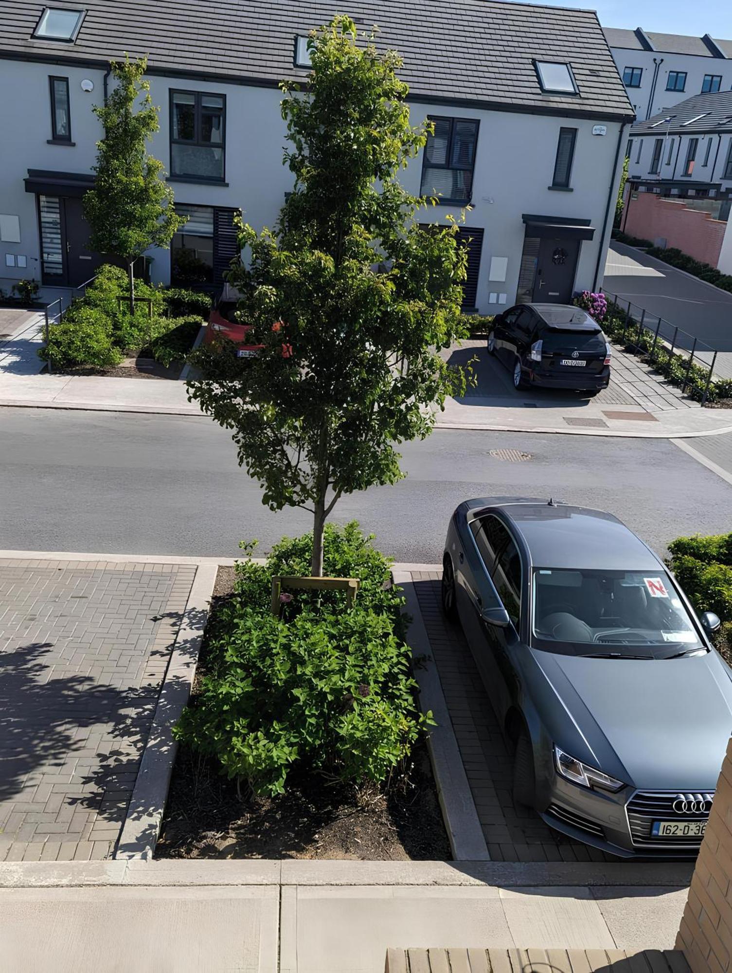 New House, Private Rooms In A Peaceful Neighborhood Dublin Eksteriør billede
